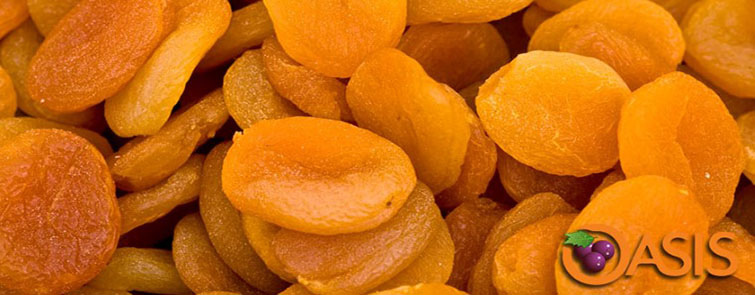 Turkish Apricots(Malatya Origin)